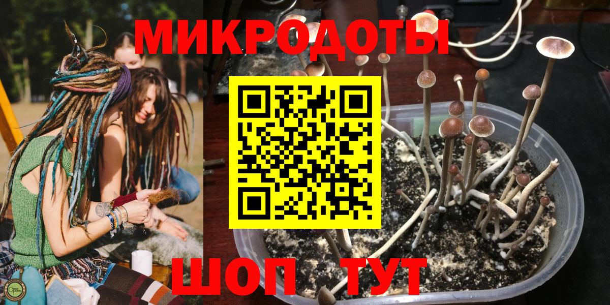 Галлюциногенные грибы мицелий  Вход с VPN  наркота  Альметьевск 